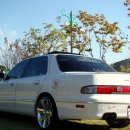 다이너스티 이미지