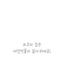 브코
