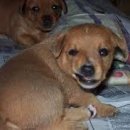 거뜬하다 이미지