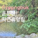 국립운문산자연휴양림야영장 | [경북 여행] 국립자연휴양림예약 꿀팁 | 운문산자연휴양림 흰담비 후기