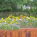 신길근린공원 이미지