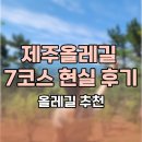 올레 쉼터 | 올레길 추천 제주올레길 7코스 현실 후기