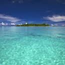 태평양식품 이미지