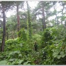 녹전경로당 이미지