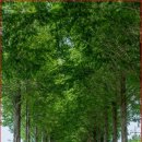 공주공원 이미지