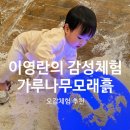 어린이 체험전 「가루나무모래흙」 | [서울/용인] 24개월 아기랑 다녀온 이영란의 감성체험, 가루나무모래흙 솔직후기 + 꿀팁