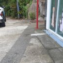 해피독쌤 이미지