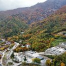 비타민 팜 오토캠핑장 이미지