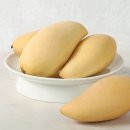 망고 이미지