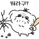 철길부산집원주단계점