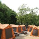 서울대공원 캠핑장 이미지