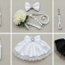 포쉬퍼피 이미지