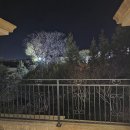 회룡맞이방 편의점 | [제주도] 서귀포 가족들과 방문하기 좋은 방 3개 독채 숙소 추천 : 기린 빌라 리조트