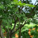 오즈의목장 이미지