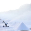 비발디파크 스키월드 이미지