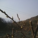 백록농장 이미지