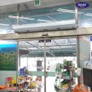 와이식당 이미지