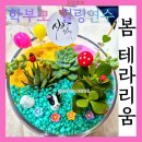 화성유치원 | 봄을 담은 나만의 정원, 다육테라리움 힐링원예수업 학부모연수 화성 유치원 어린이집 출강후기
