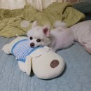 6.18 다정한 사람 최고 좋아
