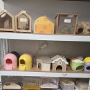 햄스터 라운지 이미지