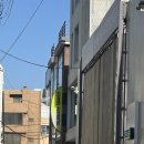 꼼에스테틱신사