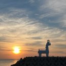 신도베스트