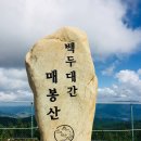 1월 6일 첫째주일오일 정기산행 이미지