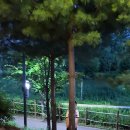 깐부치킨 미사강변점 이미지