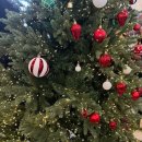 이로운한우 | 가성비 한우 맛집 대구 군위군 이로운한우 내돈내산 후기 +웨이팅 꿀팁