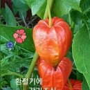 2죽기전에꼭ㅡ 가봐야할 국내 여행지51~100위ㅡ 꼭 보관 하시다가ㅡ 여행 산행 가실때 ㅡ 쉽게 찾아보세요 ㅡ 지인에게도 공유하시고 이미지