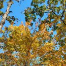 절골경로당 이미지