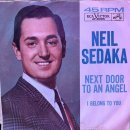 [3186] Neil Sedaka - Little Devil (수정) 이미지