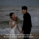 강릉 웨딩 스냅 보떼헤르츠 바이 웨딩 오마르스튜디오 야외 촬영 &amp; 실내 촬영 대만족 후기
