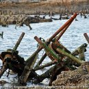 서라온5 이미지