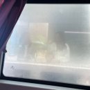5월 10일~14일 / 어리틀케틀 / 에어프라이어 통항정살 / 꽁시면관 / 돼지곰탕로스터리