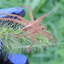 만나공원 이미지