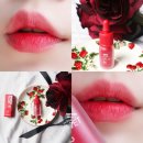 벨벳(Vel Vet) | 올리브영 페리페라 잉크 더 에어리 벨벳 세일,쿨톤 매트 립발색