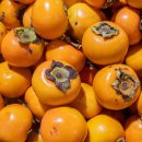 상서농장 이미지