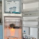바다향기 | 포항 송라면 숙소 • 바다향기펜션 (바다뷰, 화진리 펜션)