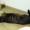 꿈나라 이미지