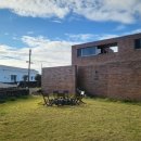 한동리브로콜리 이미지