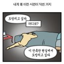 수영114 이미지