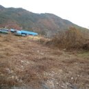 완월동168 이미지