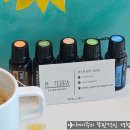 모스칼프 이미지