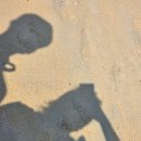 상주은모래비치 주차장 이미지