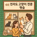 캣드림 | 전라도 고양이 전문 펫숍 정리 (용품, 사료, 장난감)