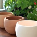 베스트하우스 이미지