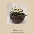 우리꽃한지문화원