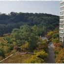 갤럭시부동산중개 이미지