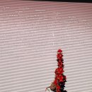 이안미술관 이미지